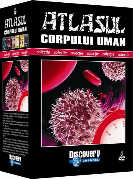 Atlasul corpului uman. 6 DVD-uri Atlasul