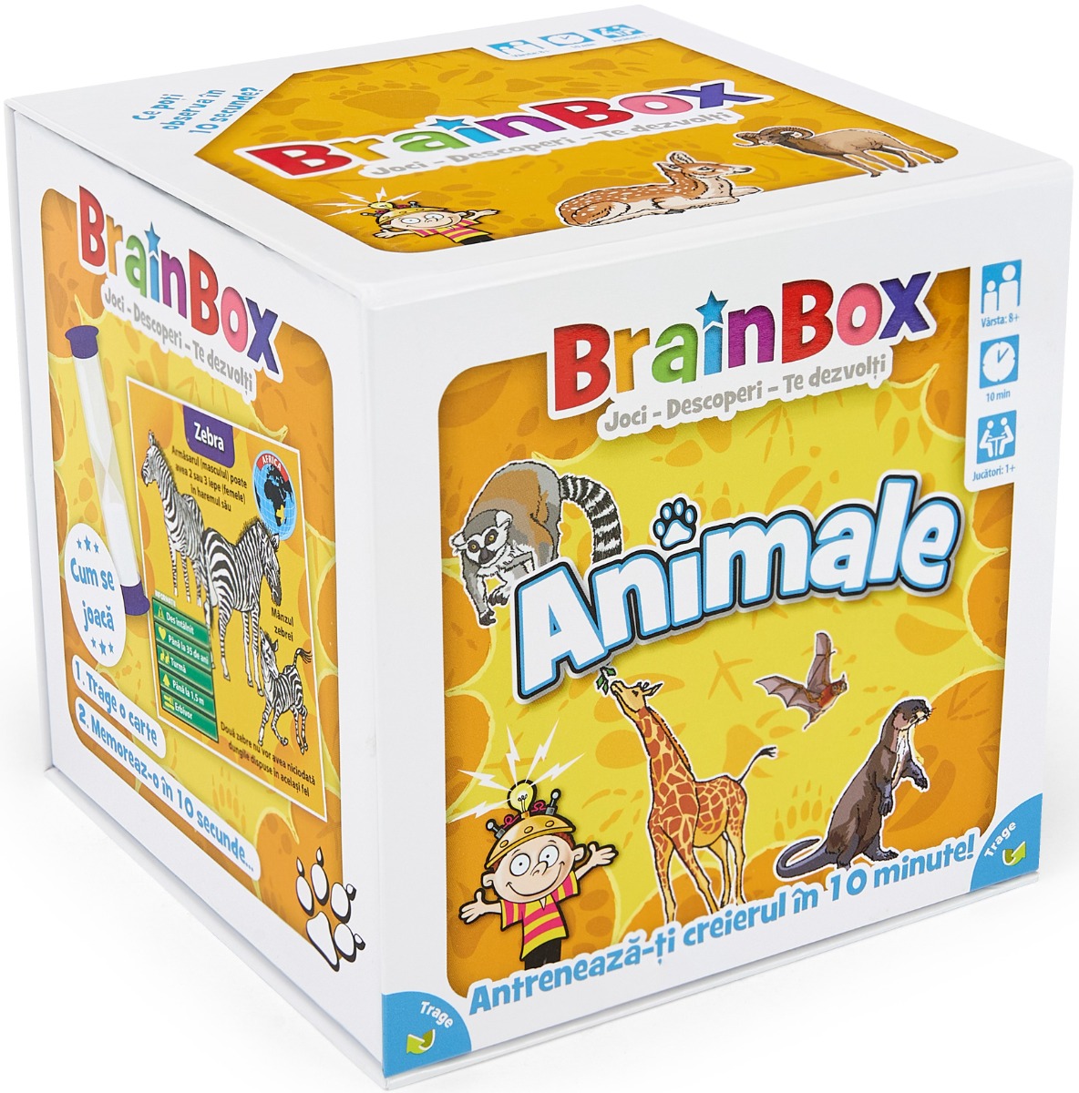 Brainbox. Animale