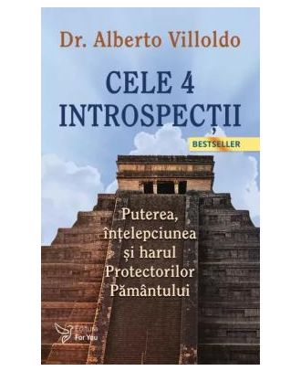 Cele 4 introspectii. Puterea, intelepciunea si harul Protectorilor Pamantului