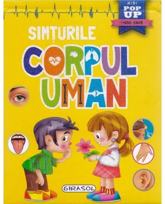Corpul uman. Simturile