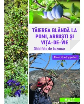 Taierea blanda la pomi, arbusti si vita-de-vie
