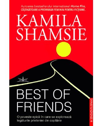 Best of friends. O poveste epica in care se exploreaza legaturile prieteniei din copilarie