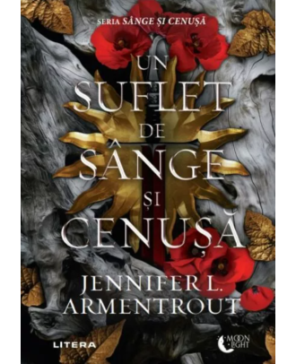 Un suflet de sange si cenusa
