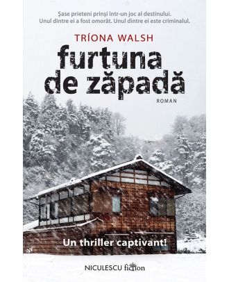 Furtuna de zapada