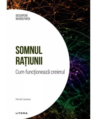 Somnul ratiunii. Cum functioneaza creierul