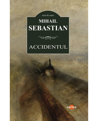 Accidentul