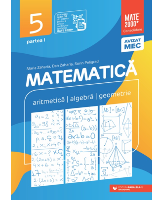 Matematică. Aritmetică, algebră, geometrie. Clasa a V-a. Consolidare. Partea I