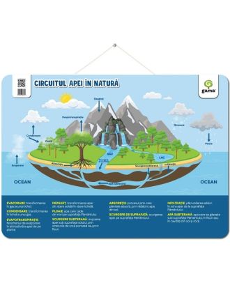 Plansa. Circuitul apei în natură