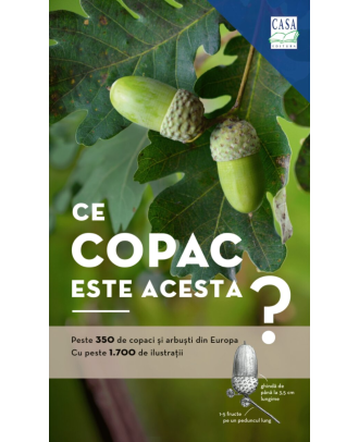 Ce copac este acesta?