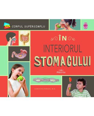 In interiorul stomacului