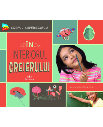In interiorul creierului