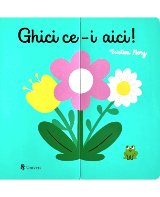 Ghici ce-i aici!