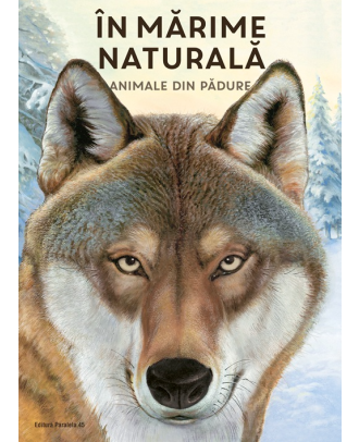 In marime naturala. Animale din padure