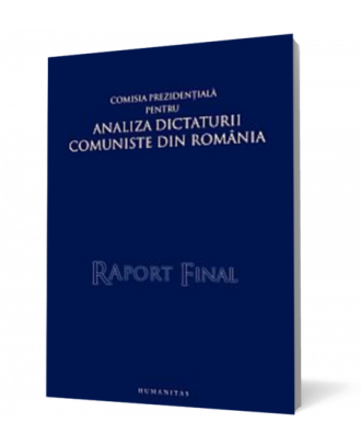 Raport final - Coperta 3D