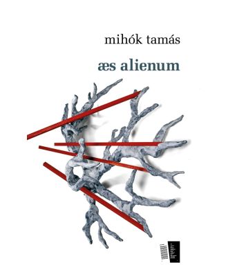 æs alienum