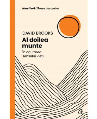 Al doilea munte. In cautarea sensului vietii