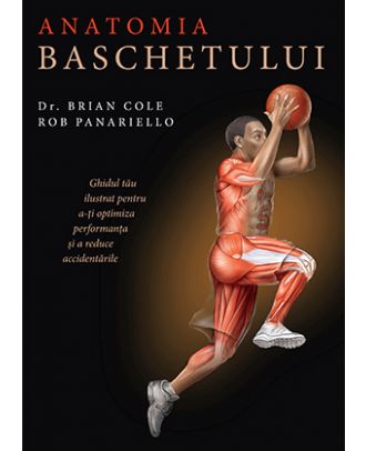 Anatomia baschetului