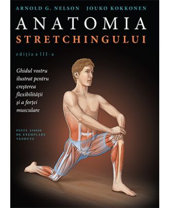 Anatomia stretchingului