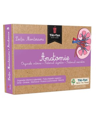 Lecţii Montessori. Anatomie: Organele interne, sistemul digestiv, sistemul excretor