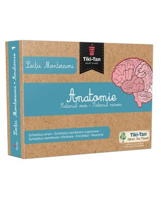 Lecții Montessori. Anatomie: Sistemul osos, sistemul nervos