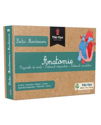 Lecţii Montessori. Anatomie: Organele de simţ, sistemul respirator, sistemul circulator