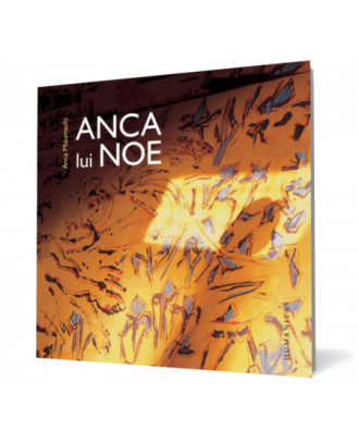 Anca lui Noe - Coperta 3D