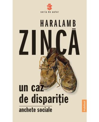 Un caz de disparitie. Anchete sociale