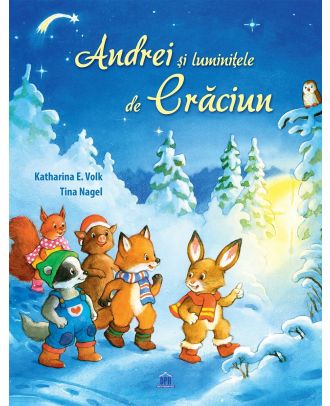 Andrei si luminitele de Craciun