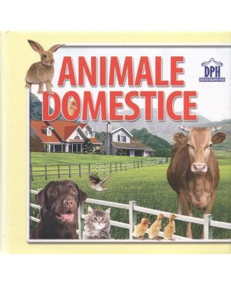 Animale domestice - 14 imagini cu animale domestice