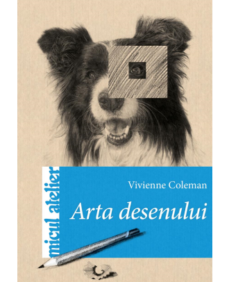 Arta desenului