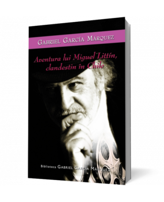 Aventura lui Miguel Littin, Clandestin in Chile