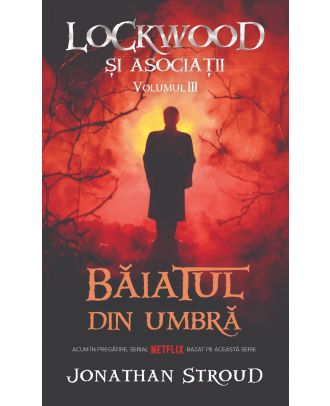 Baiatul din umbra (seria Lockwood si asociatii, vol. 3)