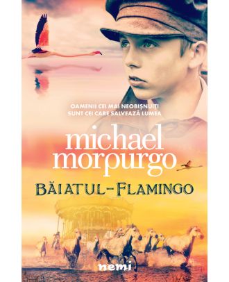 Baiatul flamingo