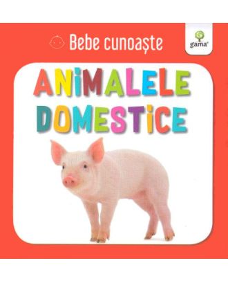 Bebe cunoaste. Animalele domestice