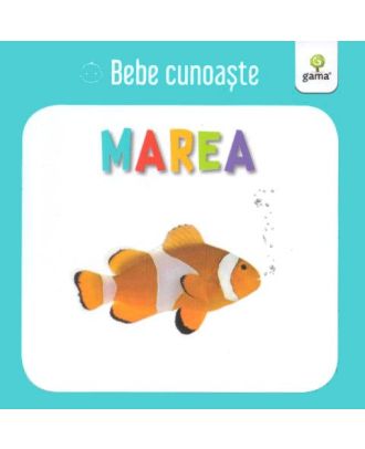 Bebe cunoaste. Marea