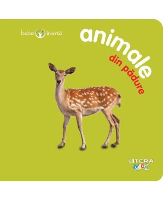 Bebe învață. Animale din pădure