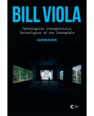 Bill Viola. Tehnologiile intangibilului. Technologies of the Intangible