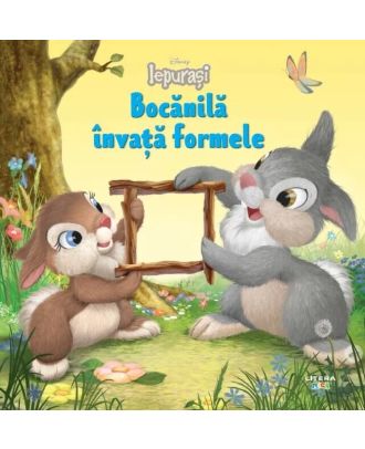 Disney Iepurasi. Bocanila invata formele