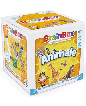 Brainbox. Animale
