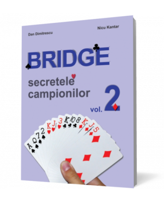 Bridge - Coperta 3D