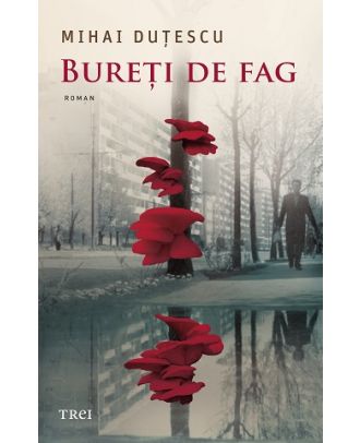 Bureți de fag