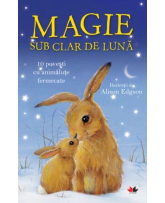 Magie sub clar de Lună. 10 povești cu animăluțe fermecate
