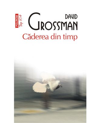 Căderea din timp. O poveste pe mai multe voci