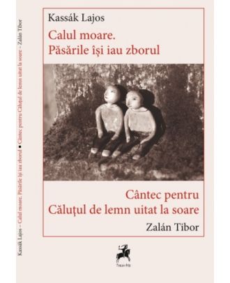 Calul moare. Păsările își iau zborul / Cântec pentru căluțul de lemn uitat la soare