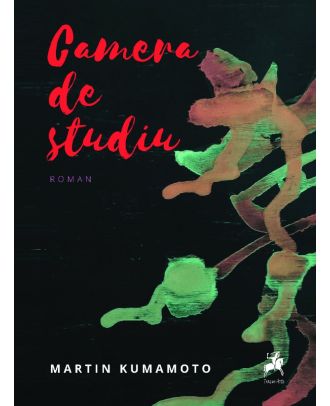 Camera de studiu