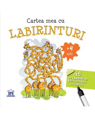 Cartea mea cu labirinturi
