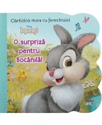 Disney Iepurasi. O surpriza pentru Bocanila