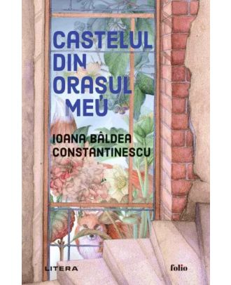 Castelul din orașul meu