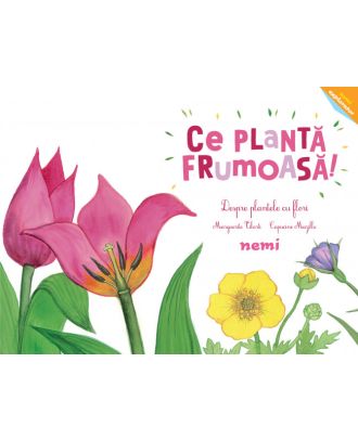 Ce plantă frumoasă! - Despre plantele cu flori