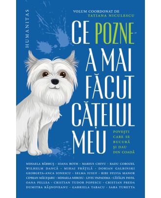 Ce pozne-a mai făcut cățelul meu